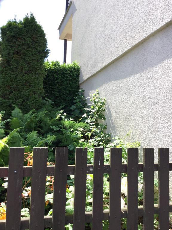 Lydiavi Apartment Vysoké Mýto Bagian luar foto