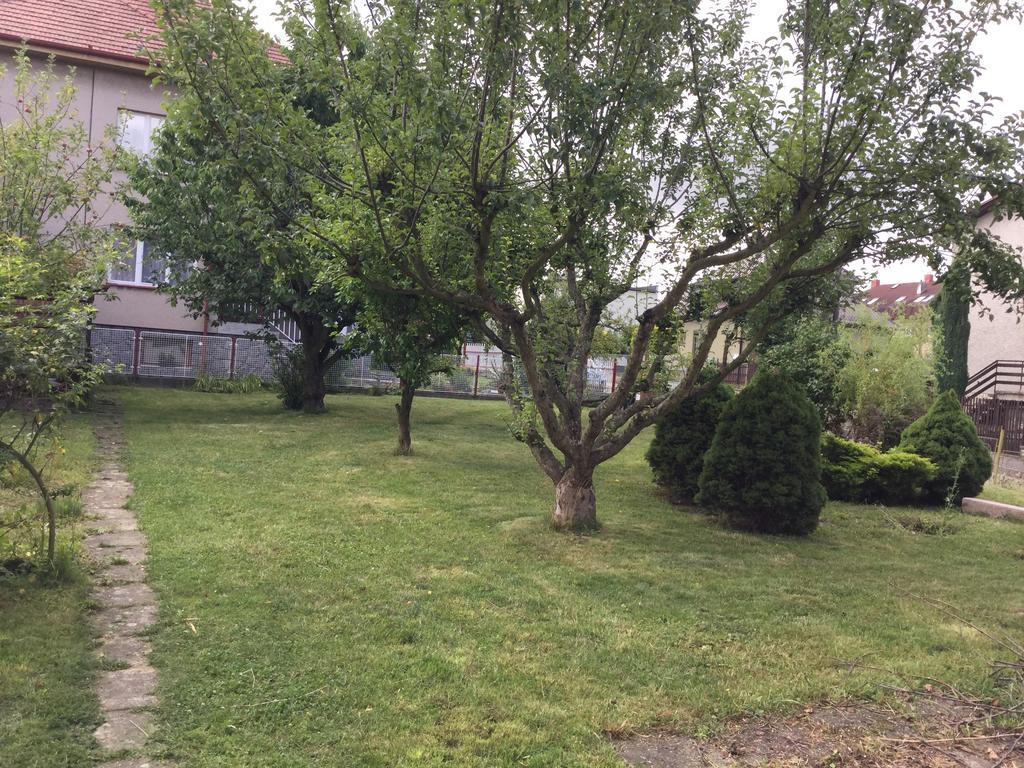 Lydiavi Apartment Vysoké Mýto Bagian luar foto