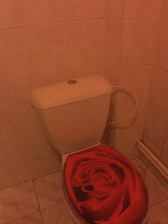 Lydiavi Apartment Vysoké Mýto Bagian luar foto