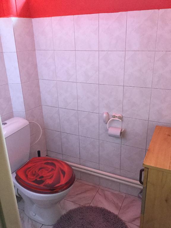 Lydiavi Apartment Vysoké Mýto Bagian luar foto
